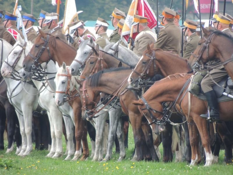 Wielka Rewia Krakowskiej Kawalerii